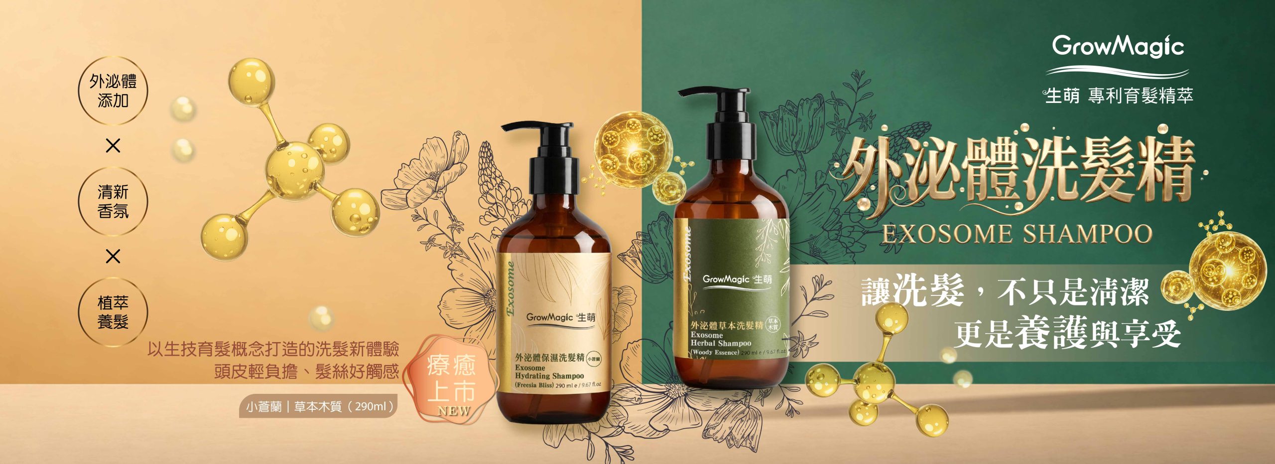 外泌體 1000X1000(20260226)-02