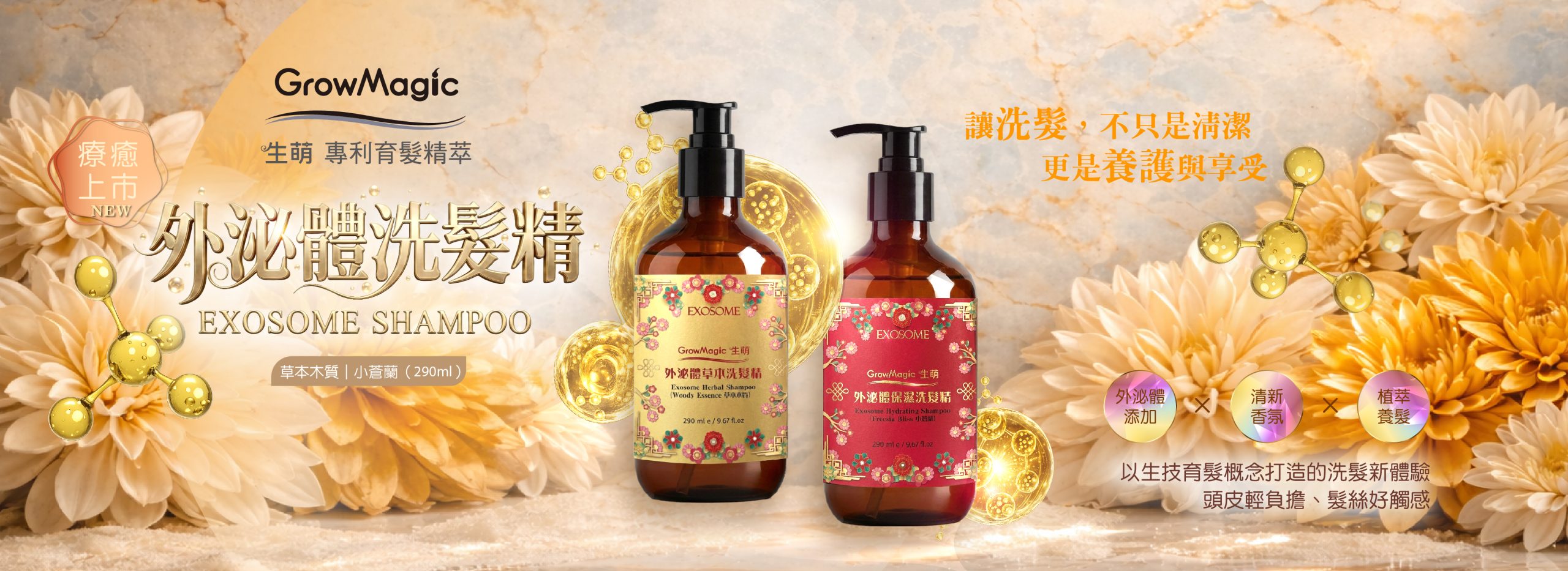 外泌體-華麗版 1000X1000(20260304)-02